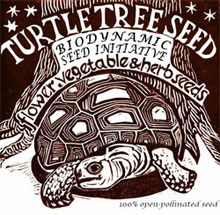Turtle Tree Seed