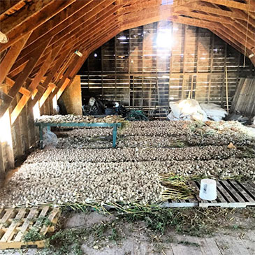 Meadowlark Hearth Seed Stable