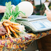 Biodynamic Food in the Marketplace