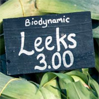 Biodynamic Leeks