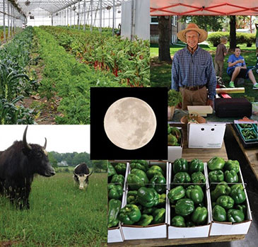 Biodynamic Farming