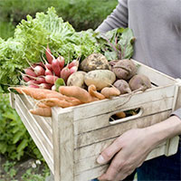 Vegetable Crate