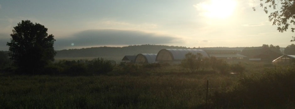 Avena Botanicals • Rockport, ME